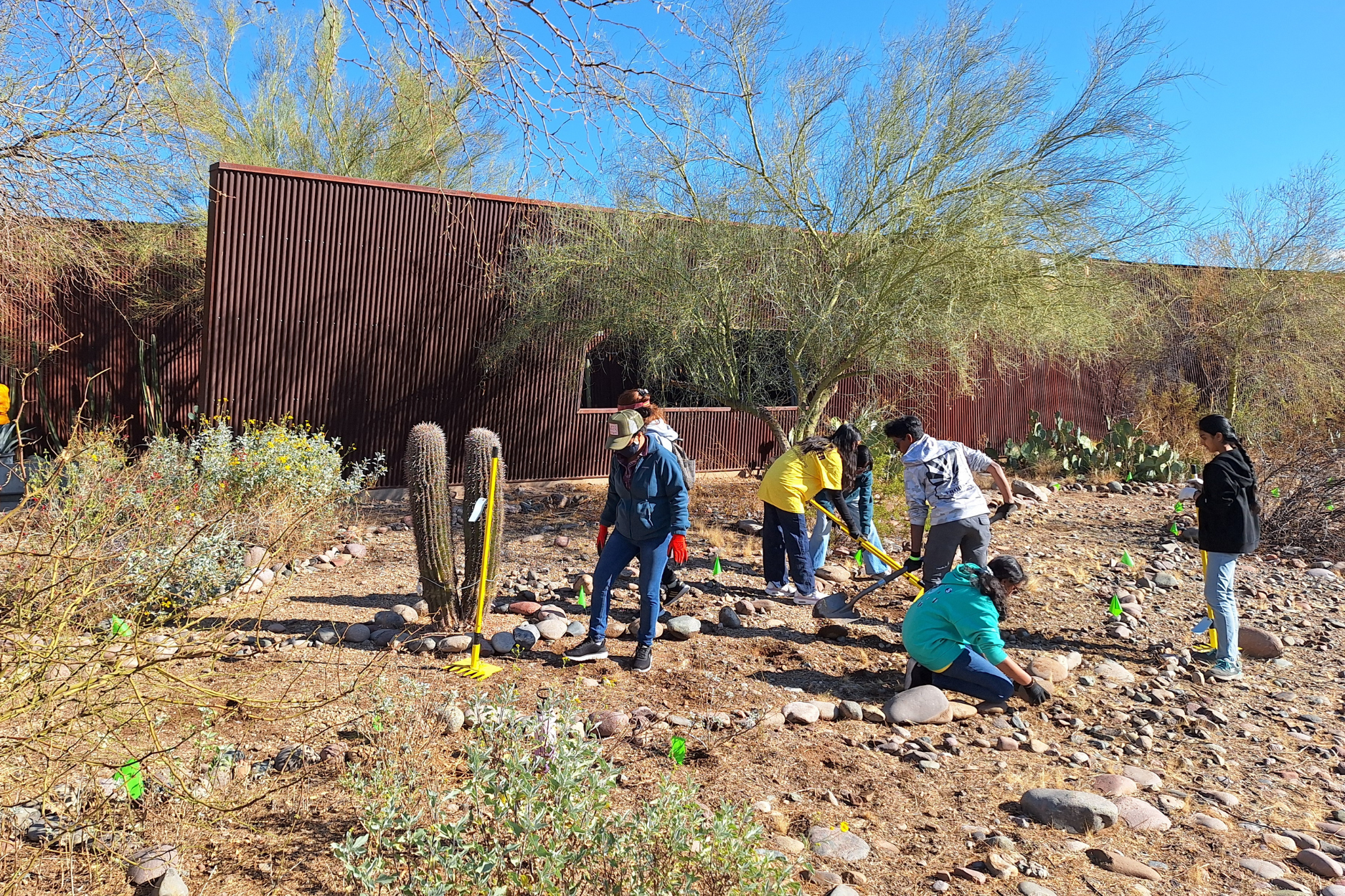 Habitat restoration at Rio Salado Audubon Center